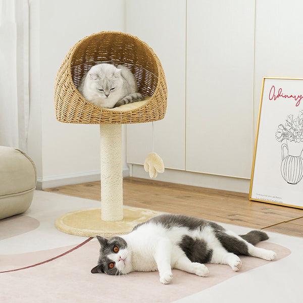 Rattan Woven Cat Climbing Rack Tree Nest